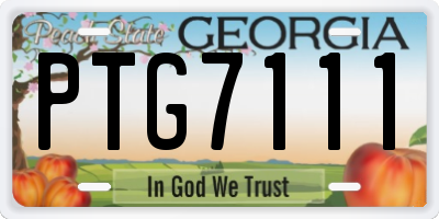 GA license plate PTG7111