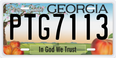 GA license plate PTG7113