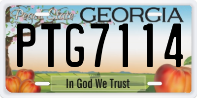 GA license plate PTG7114