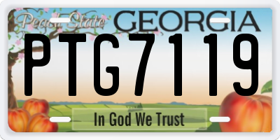 GA license plate PTG7119