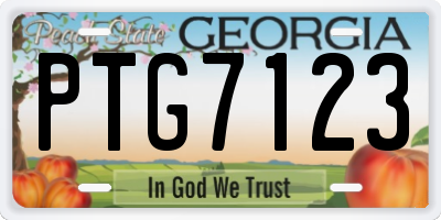 GA license plate PTG7123