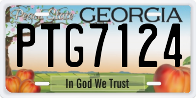 GA license plate PTG7124