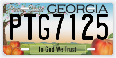 GA license plate PTG7125