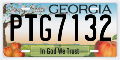 GA license plate PTG7132