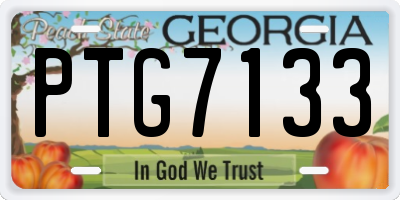 GA license plate PTG7133