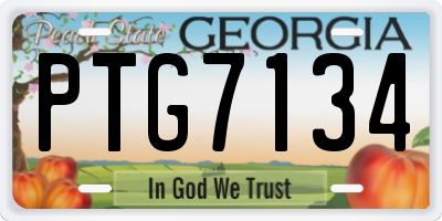 GA license plate PTG7134