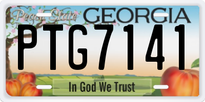 GA license plate PTG7141