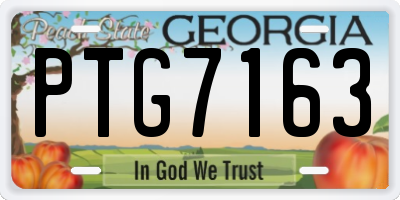 GA license plate PTG7163