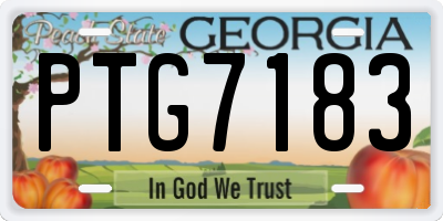 GA license plate PTG7183