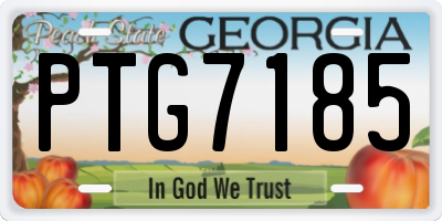 GA license plate PTG7185