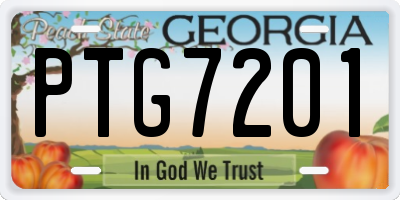 GA license plate PTG7201