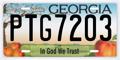GA license plate PTG7203