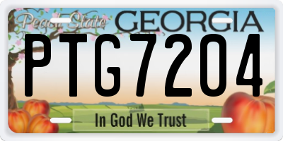 GA license plate PTG7204