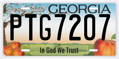 GA license plate PTG7207