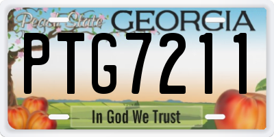GA license plate PTG7211