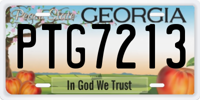 GA license plate PTG7213