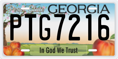 GA license plate PTG7216