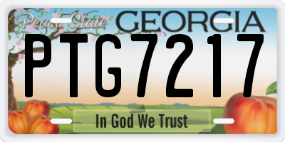 GA license plate PTG7217