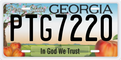 GA license plate PTG7220