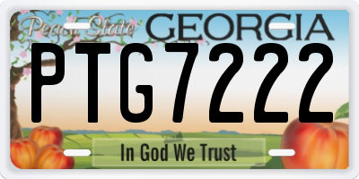 GA license plate PTG7222