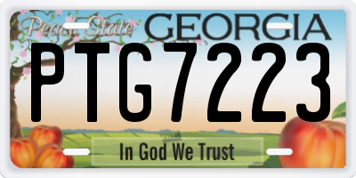 GA license plate PTG7223