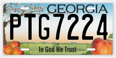 GA license plate PTG7224