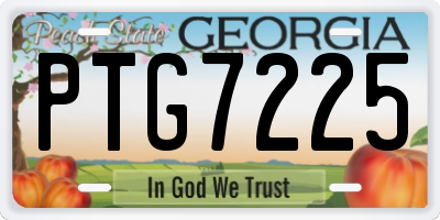 GA license plate PTG7225