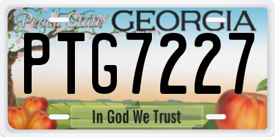 GA license plate PTG7227