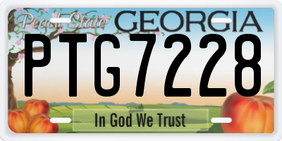 GA license plate PTG7228