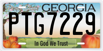 GA license plate PTG7229