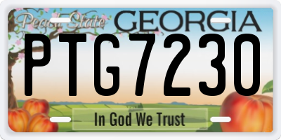 GA license plate PTG7230