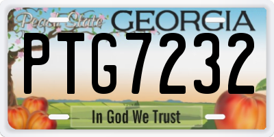 GA license plate PTG7232