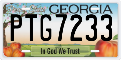 GA license plate PTG7233