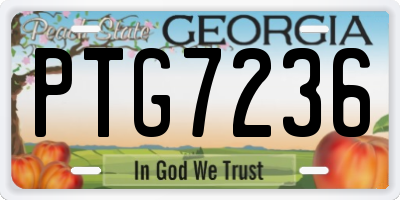 GA license plate PTG7236