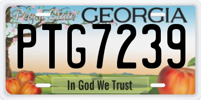 GA license plate PTG7239