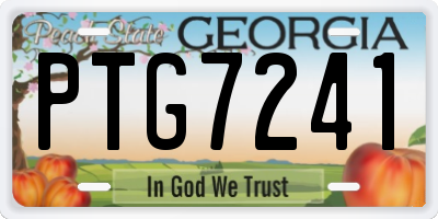 GA license plate PTG7241