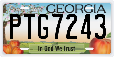 GA license plate PTG7243