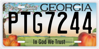 GA license plate PTG7244