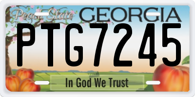 GA license plate PTG7245
