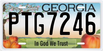 GA license plate PTG7246