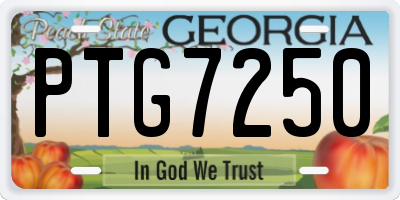 GA license plate PTG7250