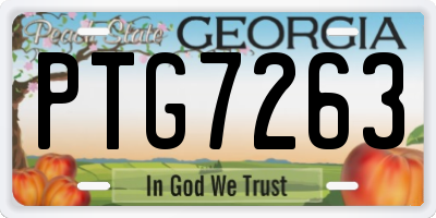 GA license plate PTG7263