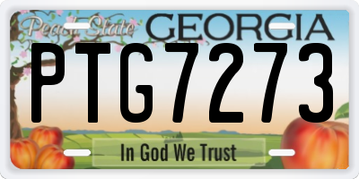 GA license plate PTG7273