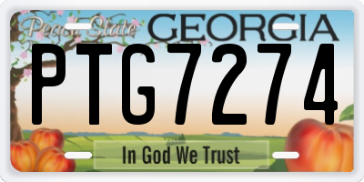 GA license plate PTG7274