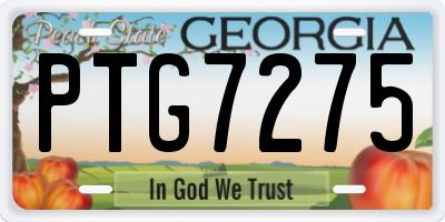 GA license plate PTG7275