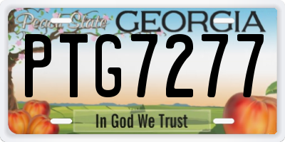 GA license plate PTG7277