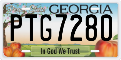 GA license plate PTG7280