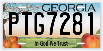 GA license plate PTG7281