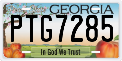 GA license plate PTG7285