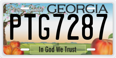 GA license plate PTG7287